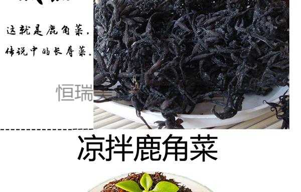 鹿角菜打卤面羊栖菜干制品东海长寿菜鹿角菜石花菜黑针菜打卤面料理