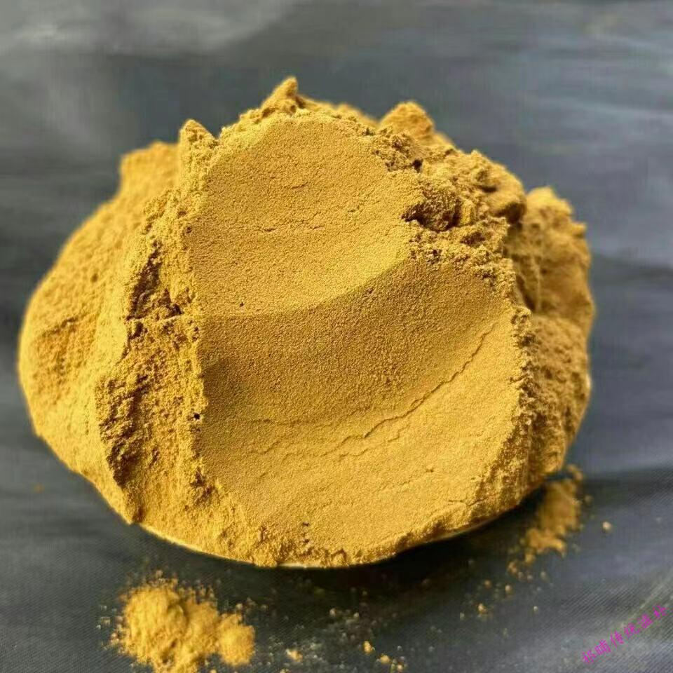 桑黄粉正宗西藏野生桑树桑黄茶桑黄粉金边桑黄粉50克500g 西藏桑黄粉