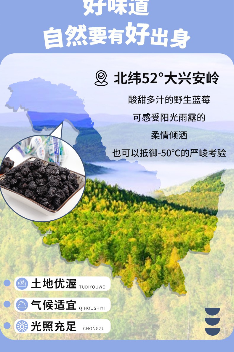 大興安嶺藍莓幹東北特產果脯藍莓果乾250g1袋