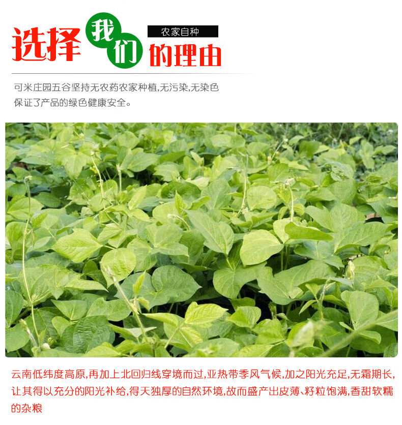 五谷杂粮组合5斤豆类杂粮粥红芸豆雀蛋豆金丝豆荷包豆混合口味2500g