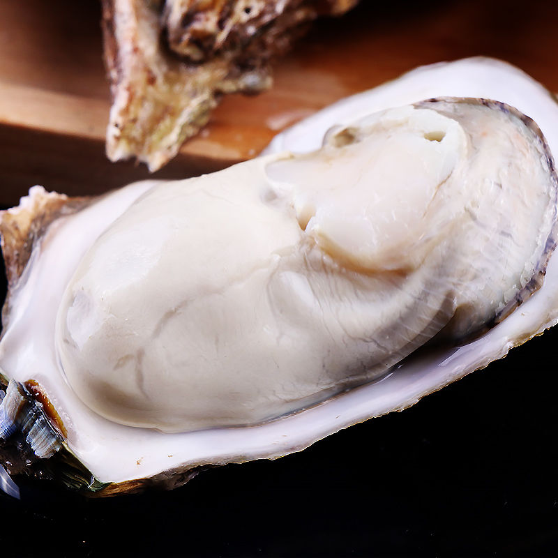 蚝王正宗乳山生蚝鲜活新鲜牡蛎带壳海鲜水产海蛎子顺丰10斤5xl5斤5xl
