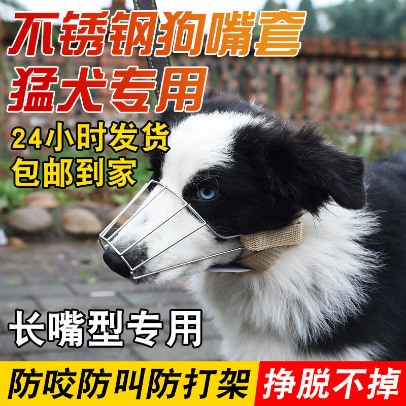 狗嘴套狗狗土狗嘴笼子适合大小中型犬狗罩子驰爵小号封口不锈钢皮套狗