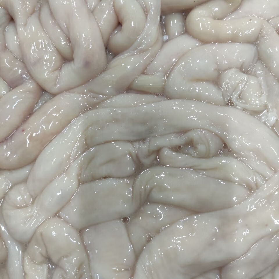 羊肥肠 清真国产新鲜羊肥肠大肠冷冻商用羊杂烧烤羊下水肥油肠子生 5