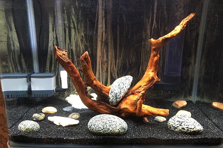 美国细砂鱼缸造景装饰石头底沙水草缸天然黑金沙铁胆细沙火山石子鱼缸