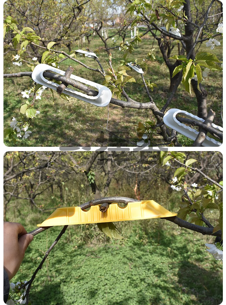 千阙果树塑料拉枝器压枝定型神器265型号50个