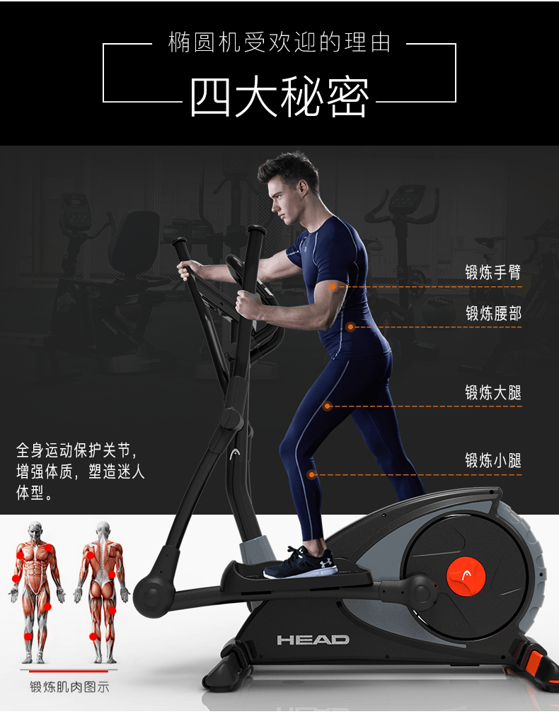 head海德椭圆机家用小型健身房智能器材磁控折叠椭圆仪太空漫步机head