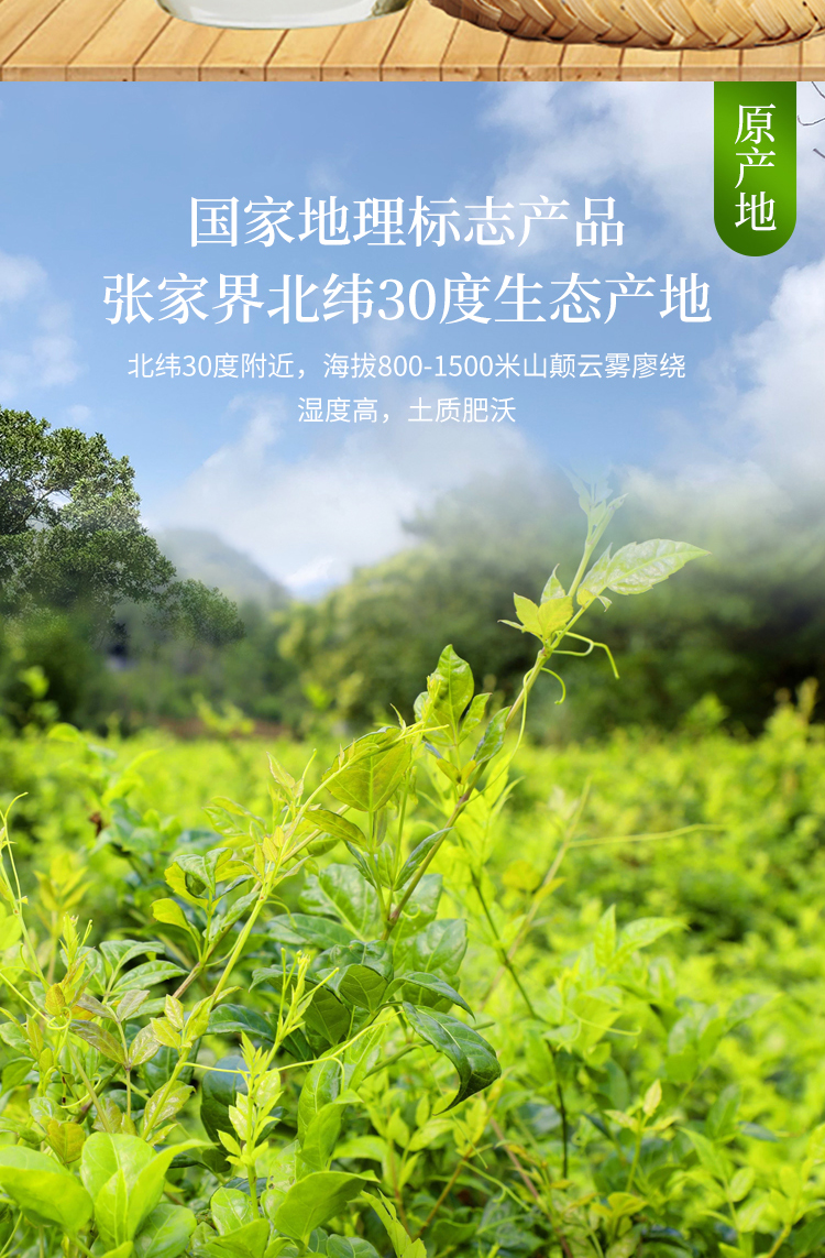 京选好货莓茶张家界野生高山莓茶特级祥和园藤茶龙须芽尖霉茶养生茶