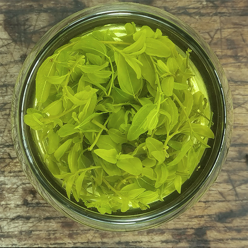 酸枣芽茶酸枣叶茶50g袋多规格2021新茶炒制嫩芽山东泰安酸枣仁叶茶叶