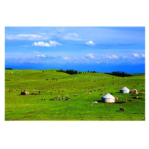 蒙古大草原牛羊风景画蓝天白云牧场羊群牛群海报挂画贴墙壁画 b185横