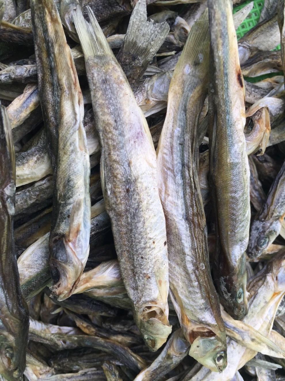 京濮飞 东北野生柳根鱼鱼干 白条鱼干一斤【图片 价格 品牌 报价】