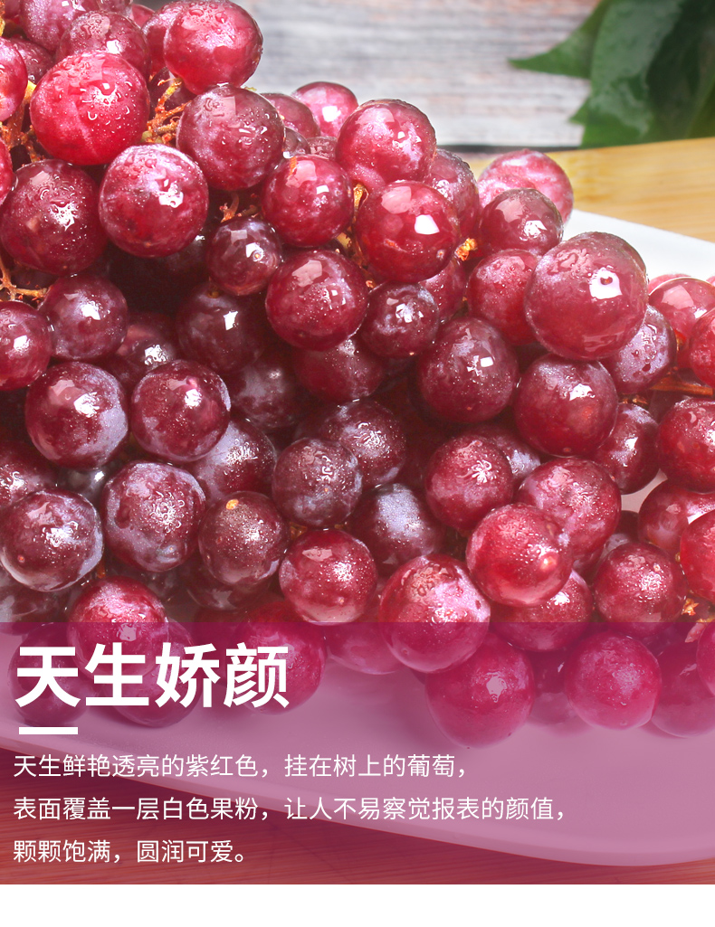 【顺丰】新疆无核葡萄 吐鲁番玻璃脆葡萄无核红提新鲜水果现摘提子脆