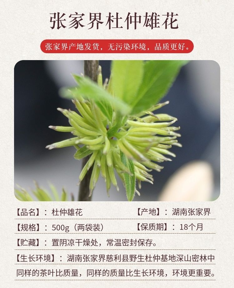 张家界杜仲雄花丸图片