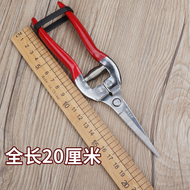 ed883a1d8392502f.jpg