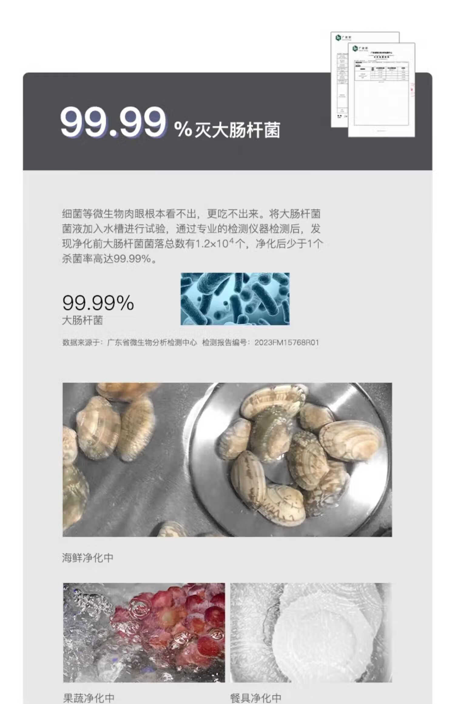29abee59cca43607.jpg