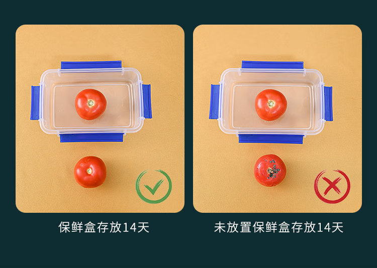 82b991ff0eb4c554.png