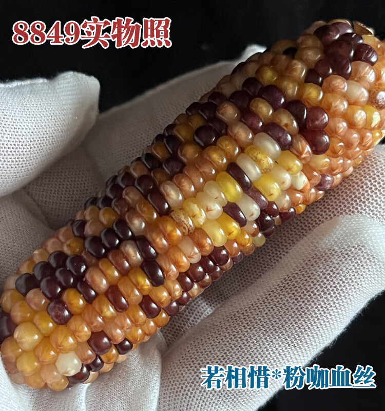 40bfb25a36455695.jpg