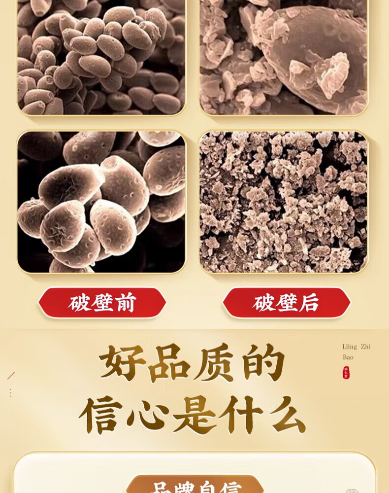 336ecc3d3a37e317.jpg