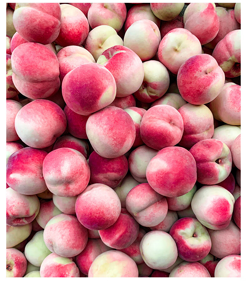 山东金秋红蜜桃子水果冬桃9斤水蜜桃新鲜当季脆甜整箱雪蜜桃秋桃酷果