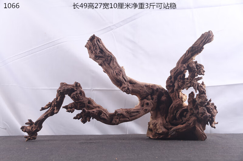 c0320091623799b0.jpg