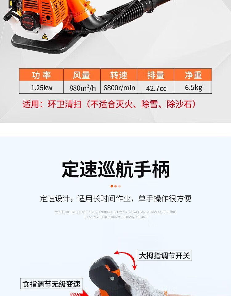 c4c956e3425a9a54.jpg