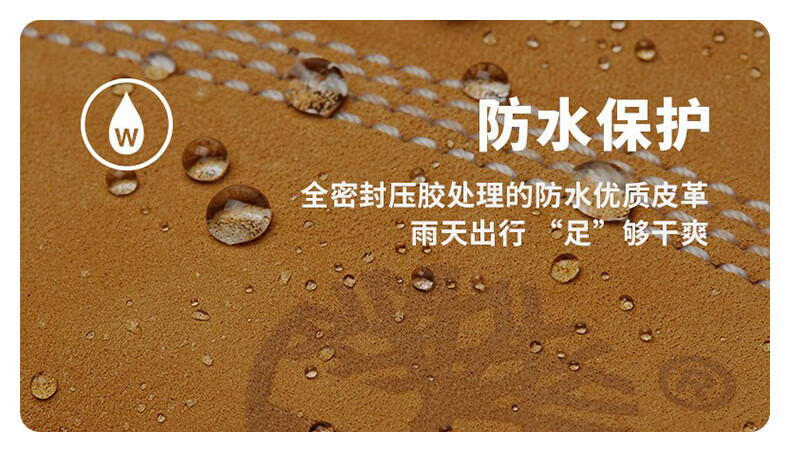 c876ea8c5e7ebd88.jpg