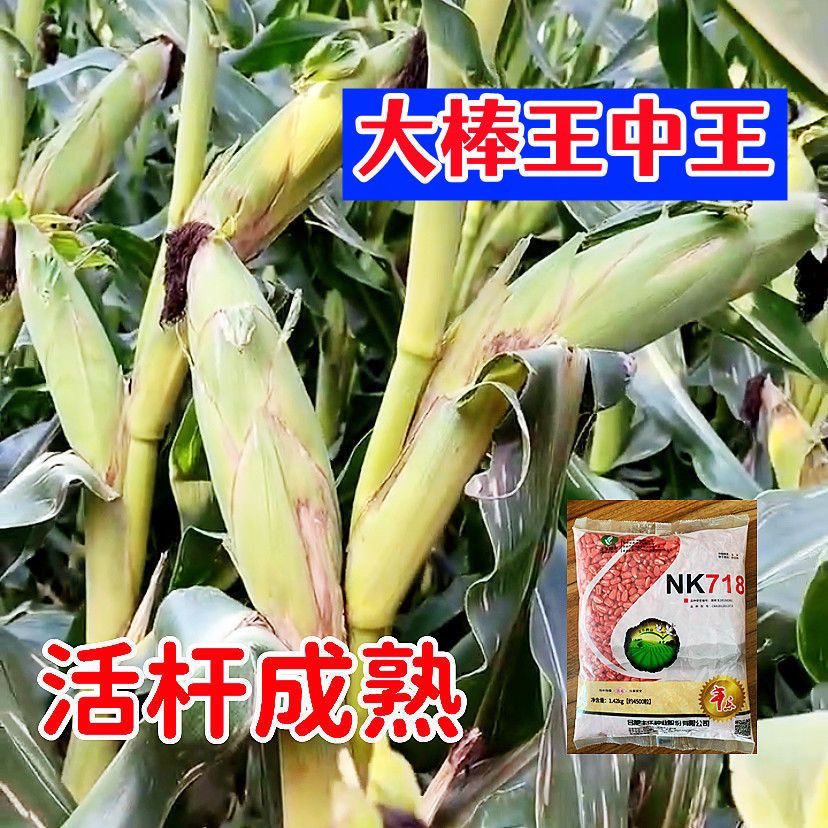 c6f0da715895a131.jpg