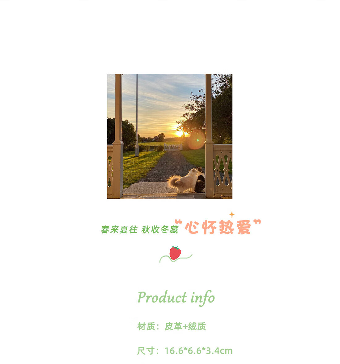 5d66966c04669d4e.jpg