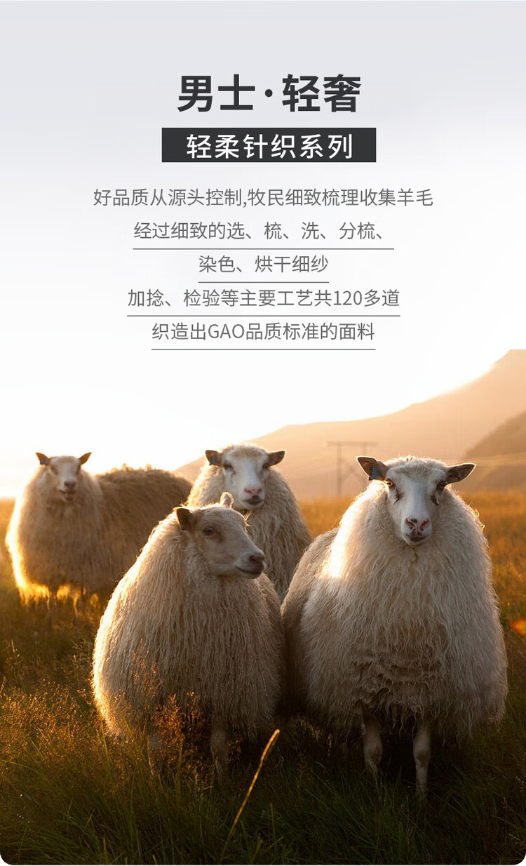 8735b572ee9b1260.jpg
