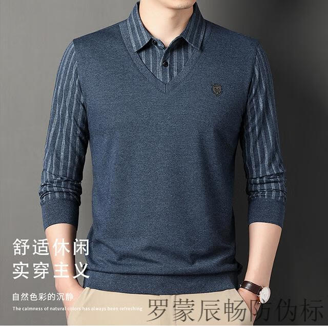 a71dad499778f54b.jpg