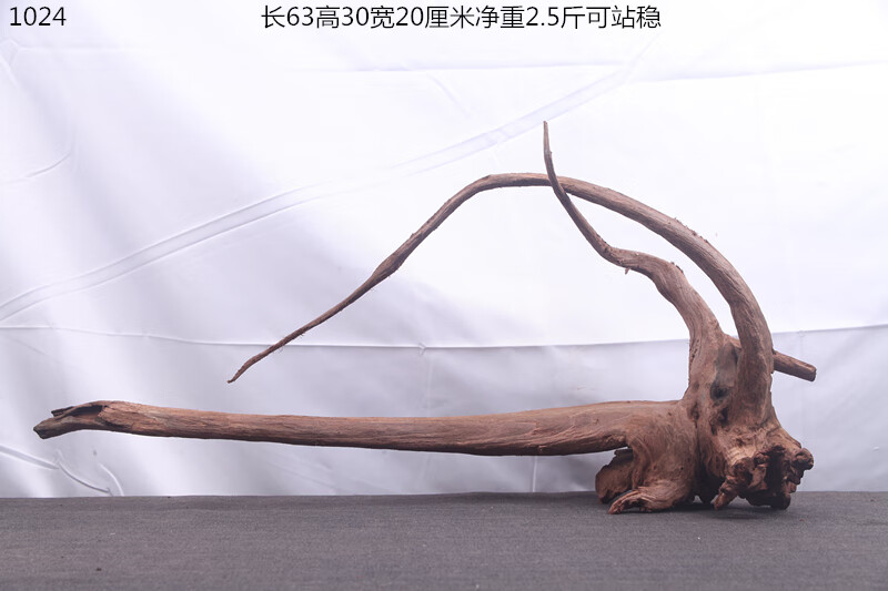 9b121ff364add565.jpg