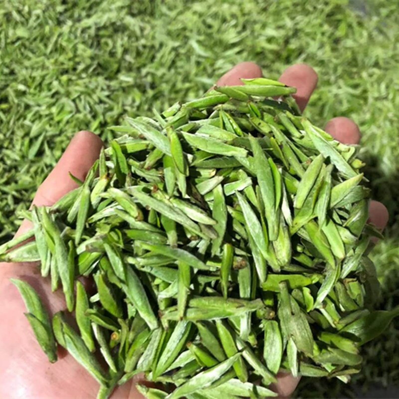 银针茶叶图片 品种图片