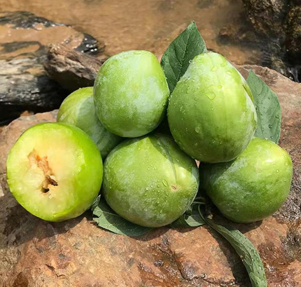 奈脆甜李子油奈 【大果】 3斤(20个左右)普通装 现摘现发【图片 价格