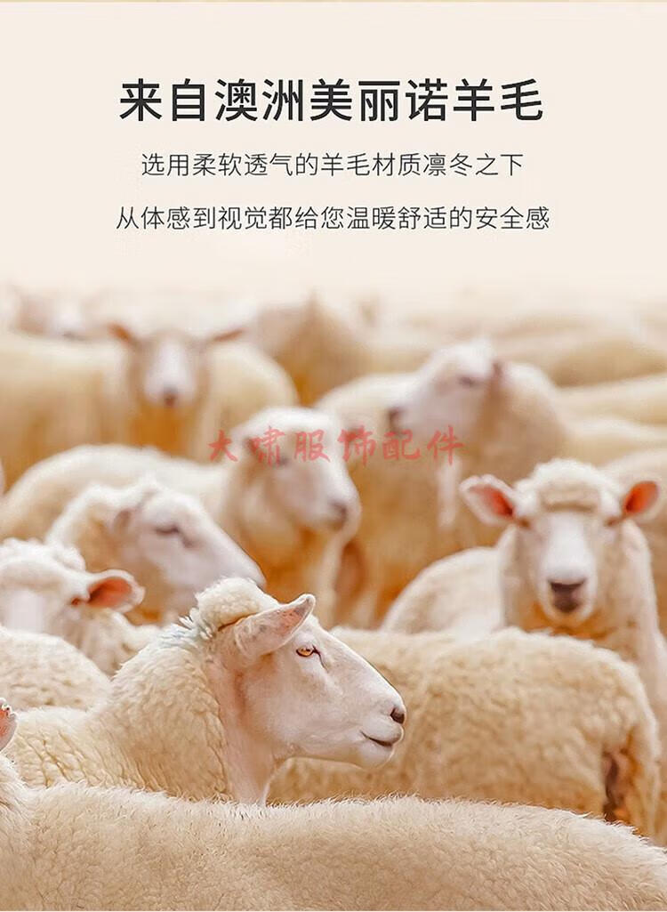 23c7312a2a8434a7.jpg