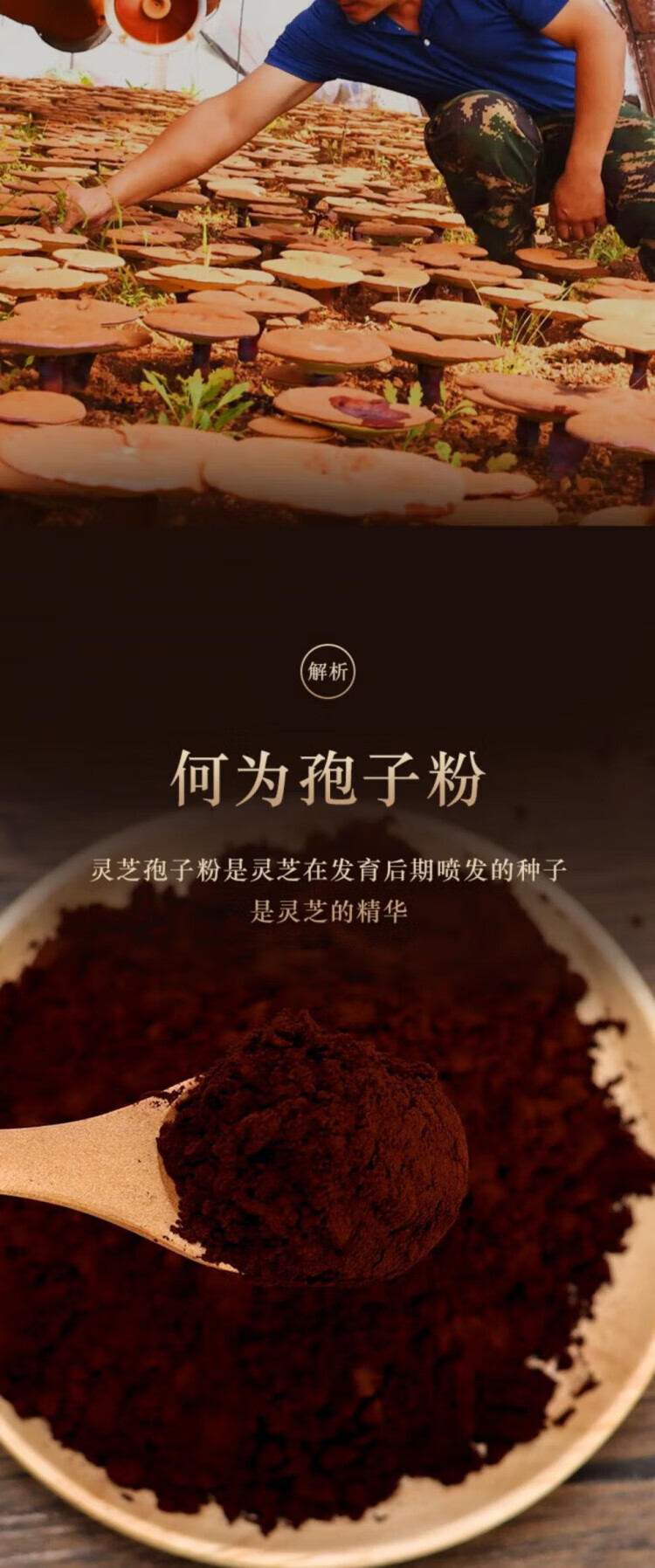 df9abc3c41563c64.jpg