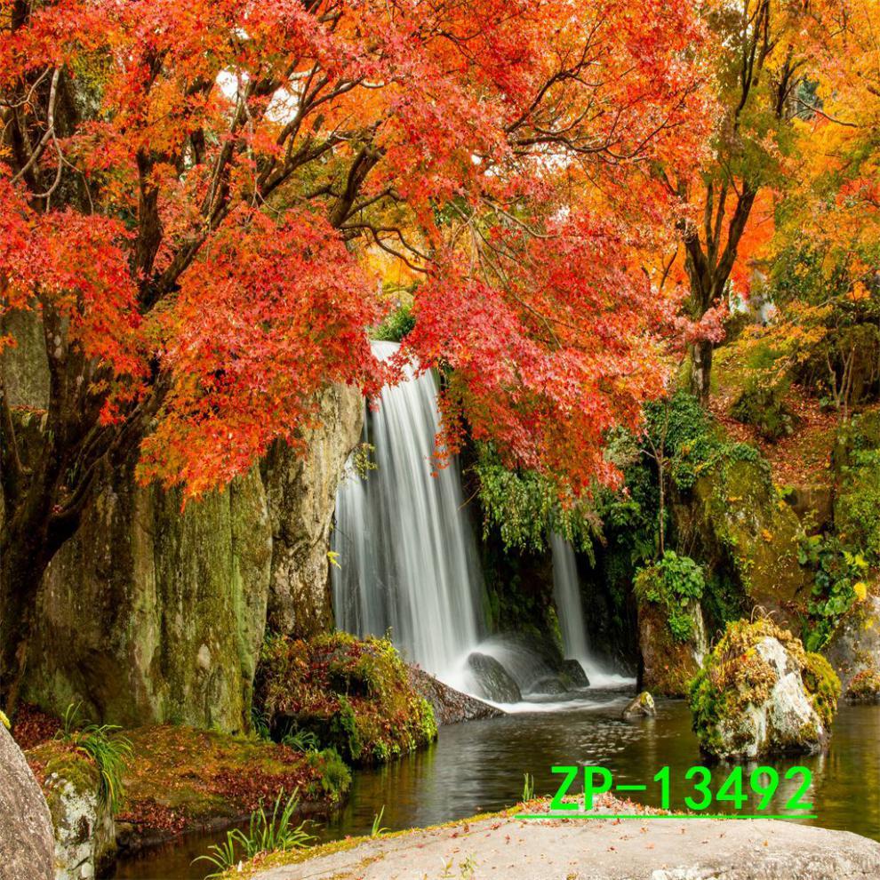 075565b8-496c-4959-ab84-7617dd7425b3.jpe
