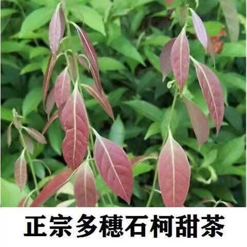 b6446527dd25c9fa.jpg