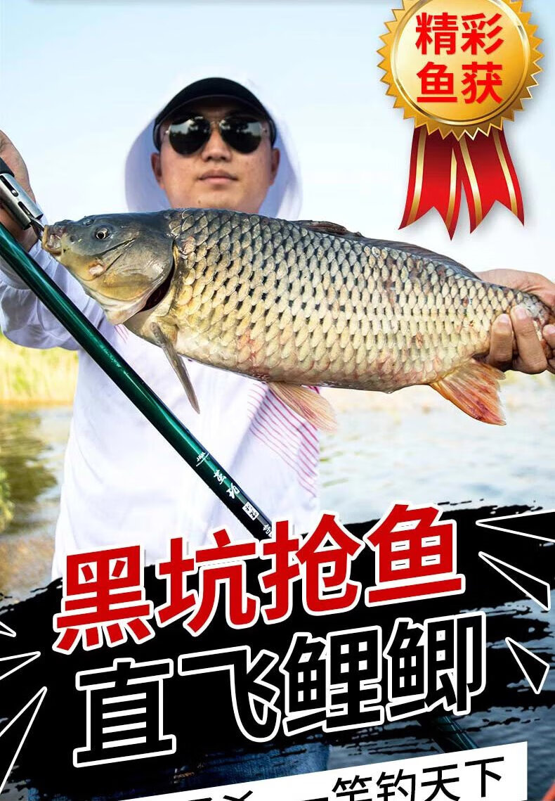 湛卢鲫化氏鲫鱼竿新台钓竿超轻超细鲫鲤混养28调官方钓鱼竿 【大物鲤