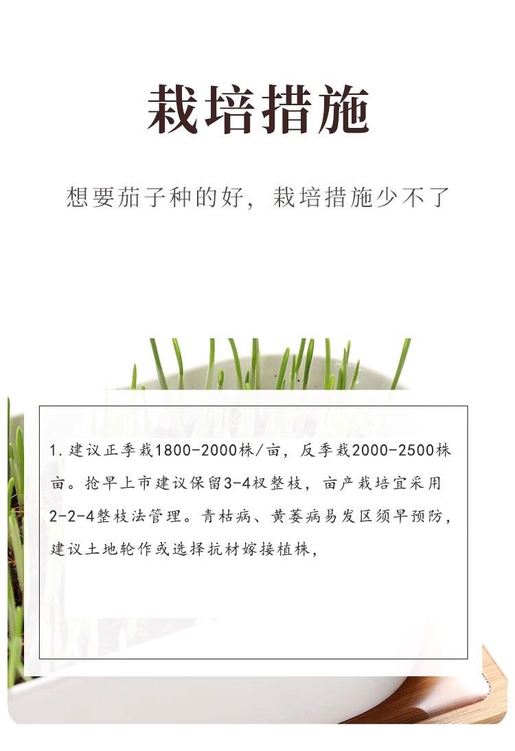 42d142db865b4422.jpg