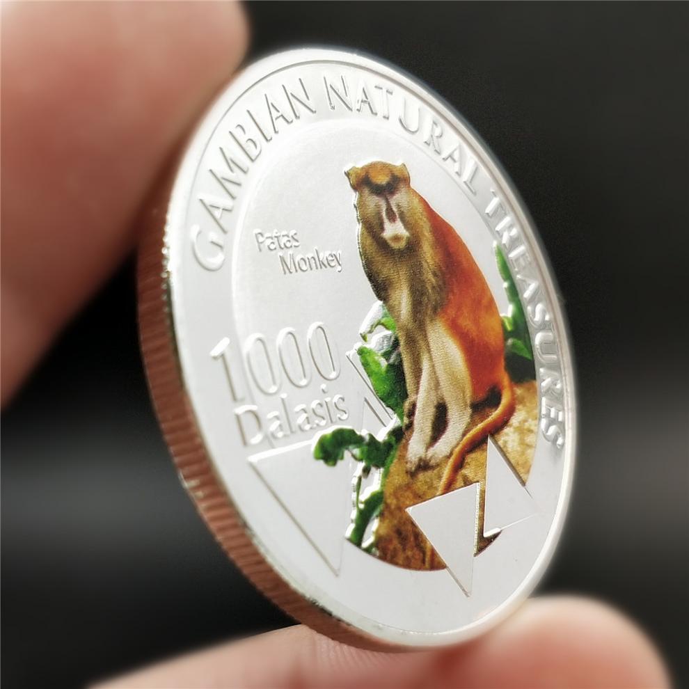 欧殿oudian非洲冈比亚1000长尾赤猴纪念币自然环境纪念币猩猩非洲动物
