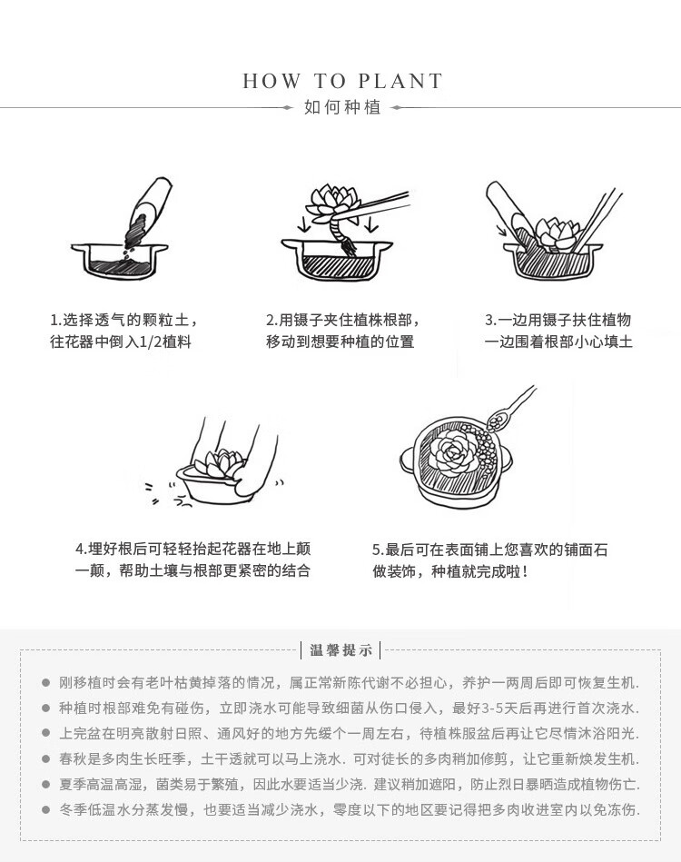f822657d5390faec.jpg
