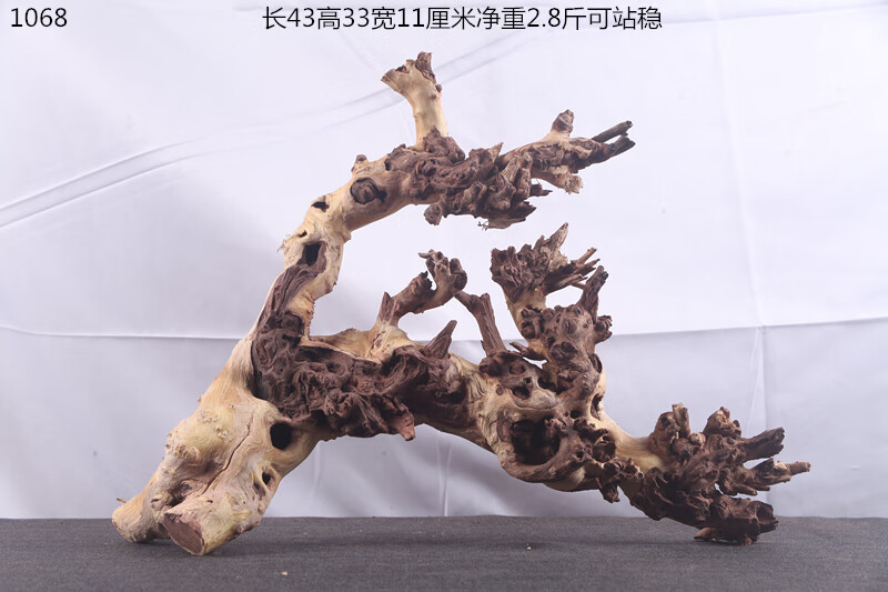 fc276e5288320b01.jpg