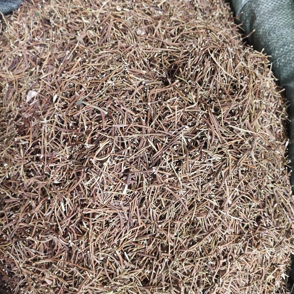 北京同仁堂官方旗舰原料精选广西野生鸡骨草中药材切断干货煲汤泡茶