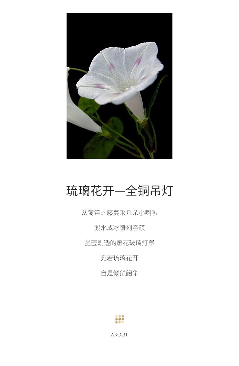 ef81a083c54dccf8.jpg
