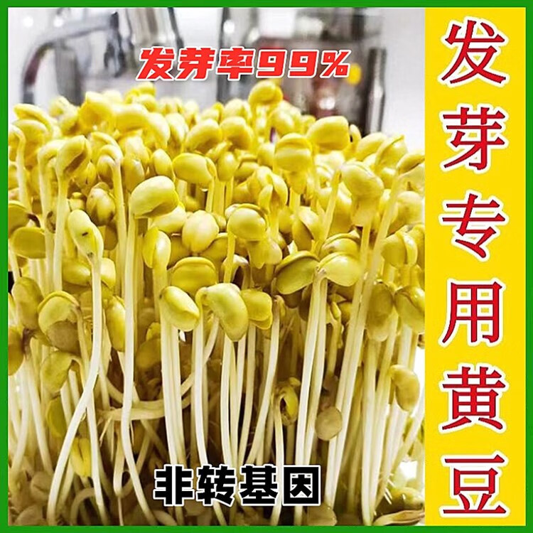 75a2a41292728b33.jpg