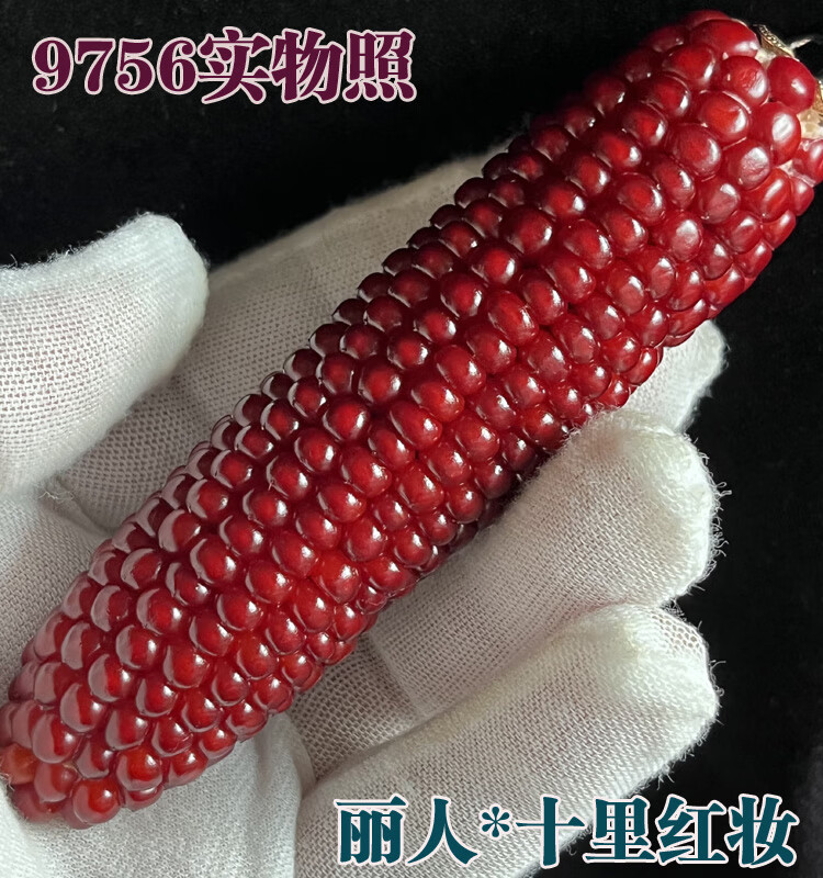 45464efc3bcc30fc.jpg