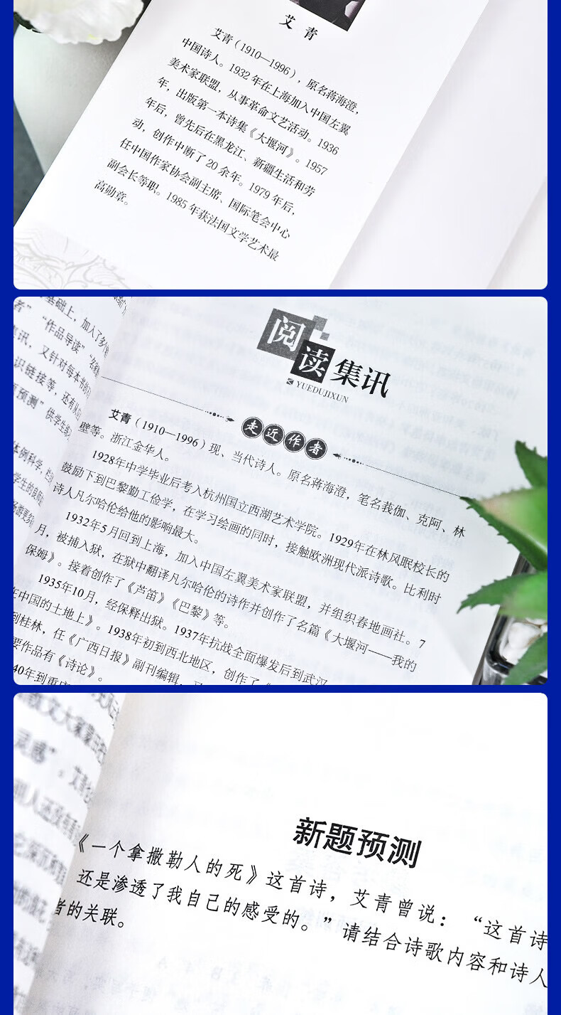 00d90f832d203284.jpg