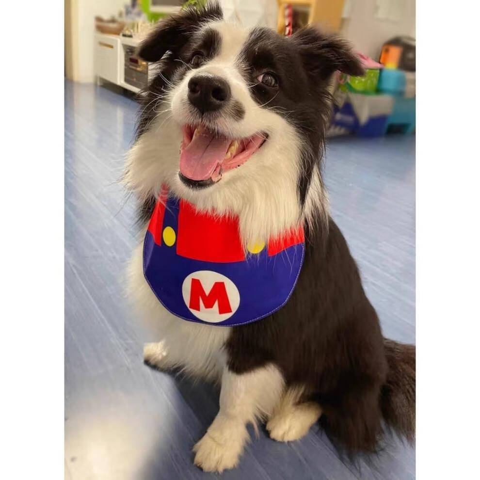 大型狗狗口水兜 口水巾中大型犬夏季围巾宠物围兜大狗金毛萨摩松狮