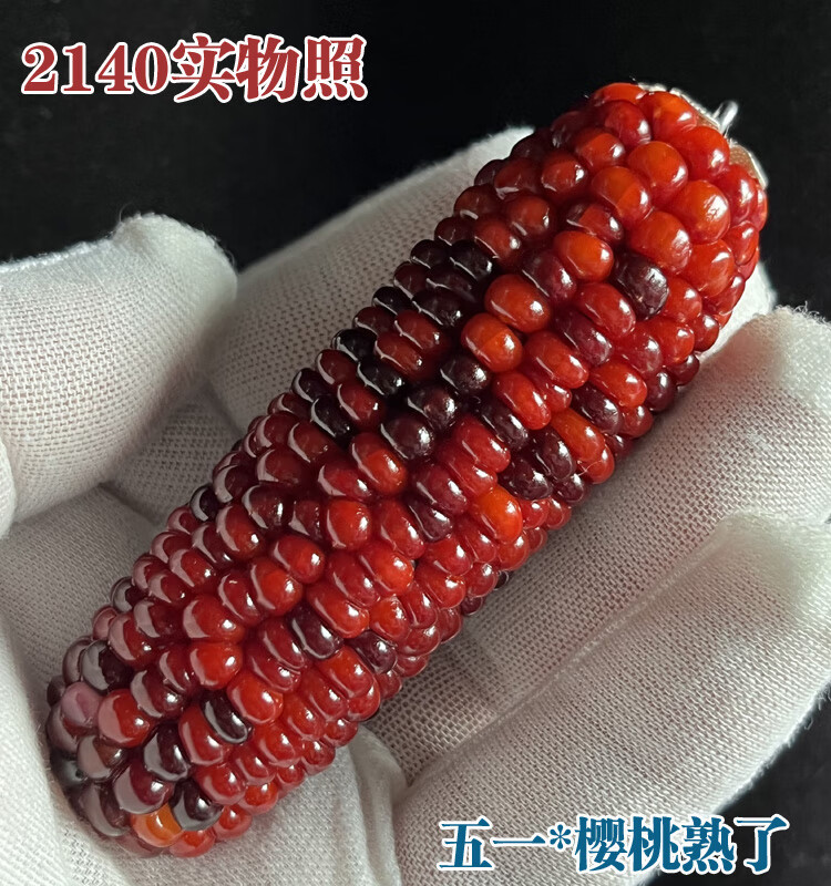 9f02e7ecced01728.jpg