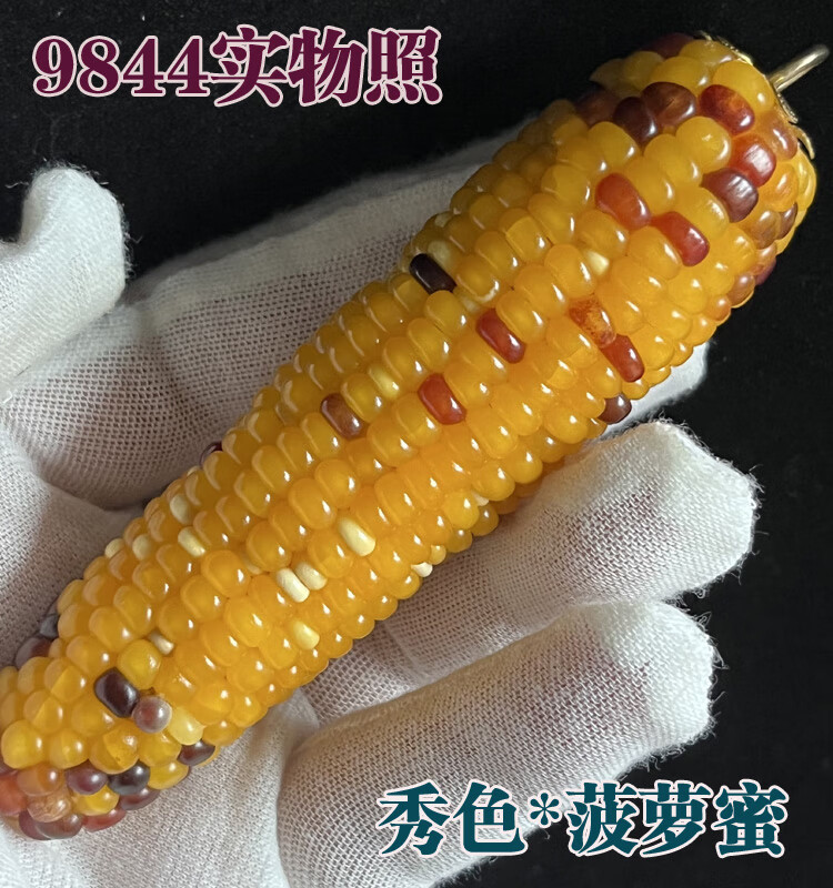 4473612bc5803f42.jpg