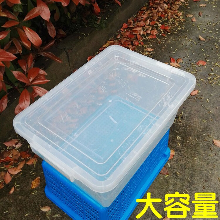 38ef33f9530f1b1d.jpg